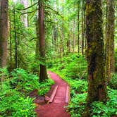 Review photo of Heart O' the Hills Campground — Olympic National Park by Crystal C., March 6, 2020