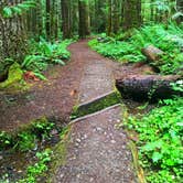 Review photo of Heart O' the Hills Campground — Olympic National Park by Crystal C., March 6, 2020