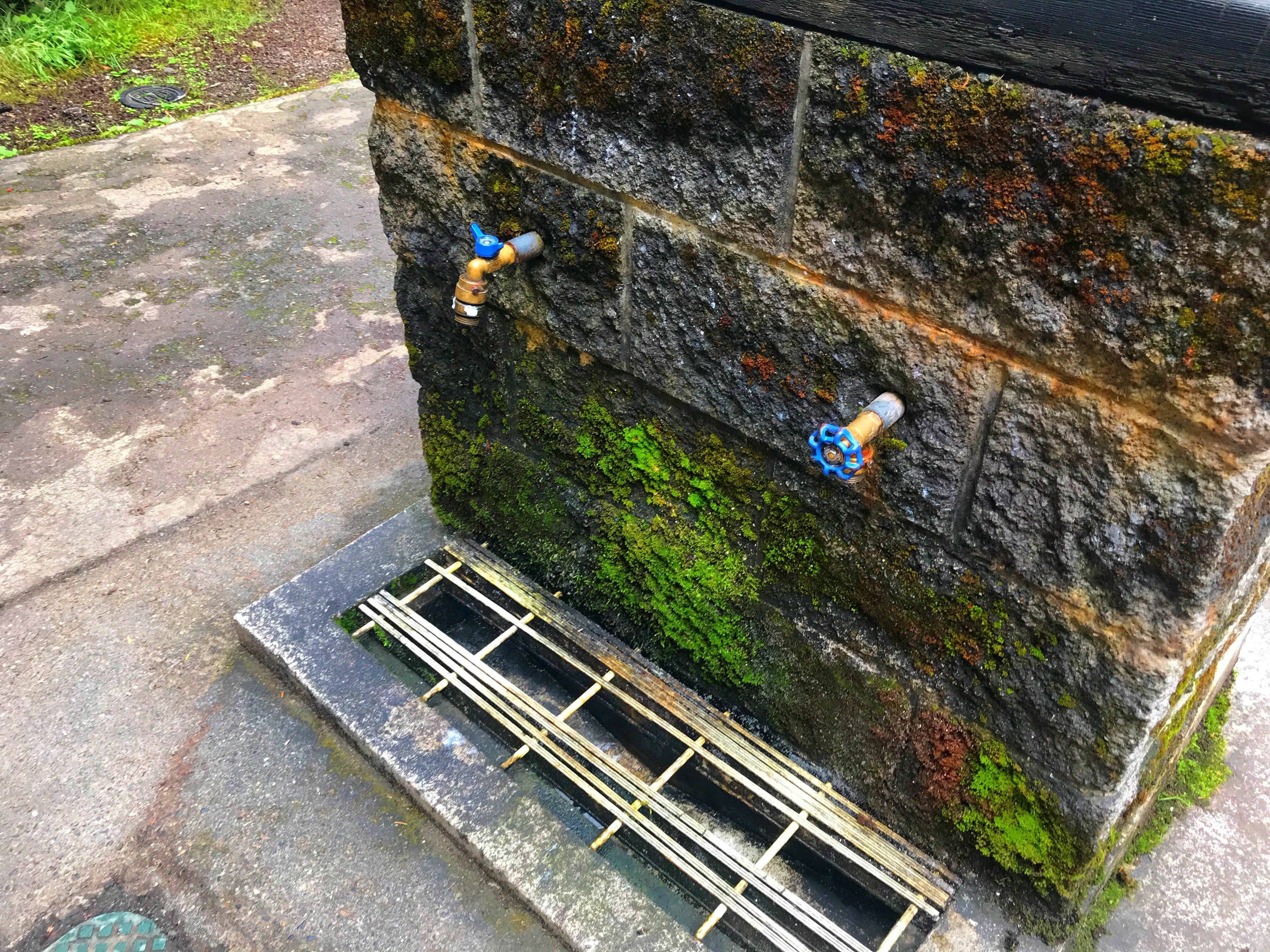 Heart O' the Hills Campground — Olympic National Park