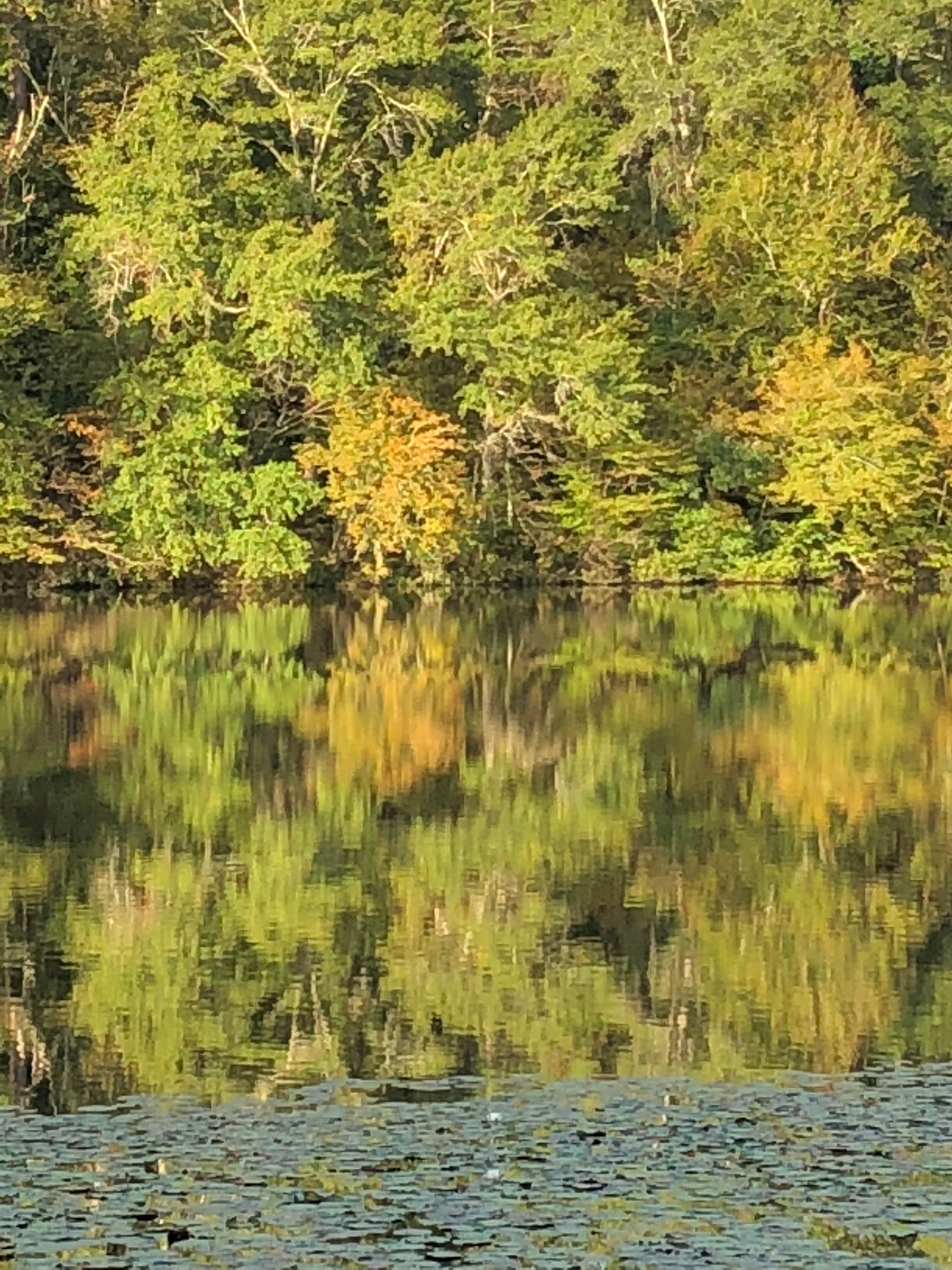 Camper-submitted photo at Kolomoki Mounds State Park Campground near Clopton, AL