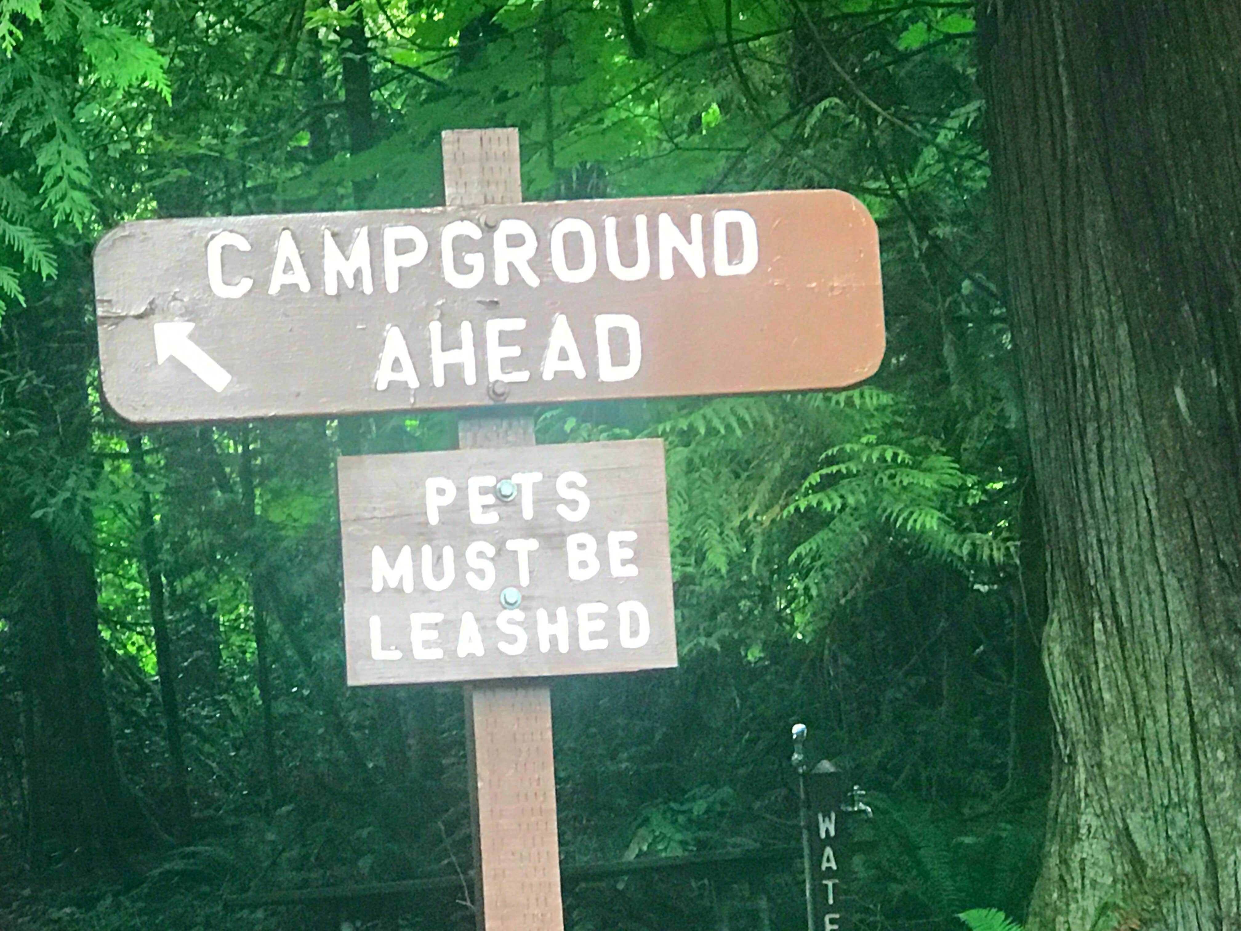 Camper-submitted photo at Lewis & Clark State Park Campground near Mossyrock, WA