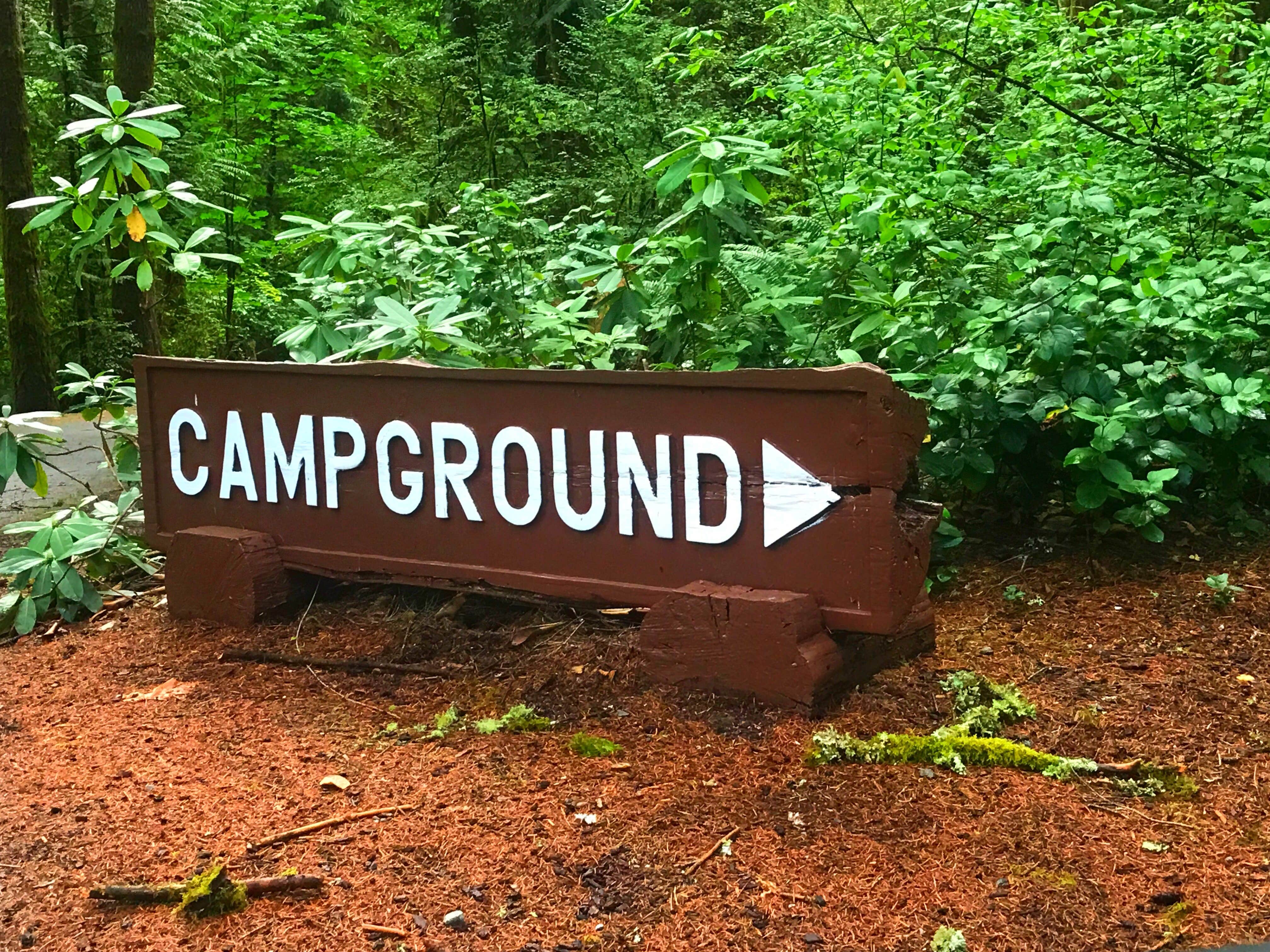 Camper-submitted photo at Lewis & Clark State Park Campground near Mossyrock, WA