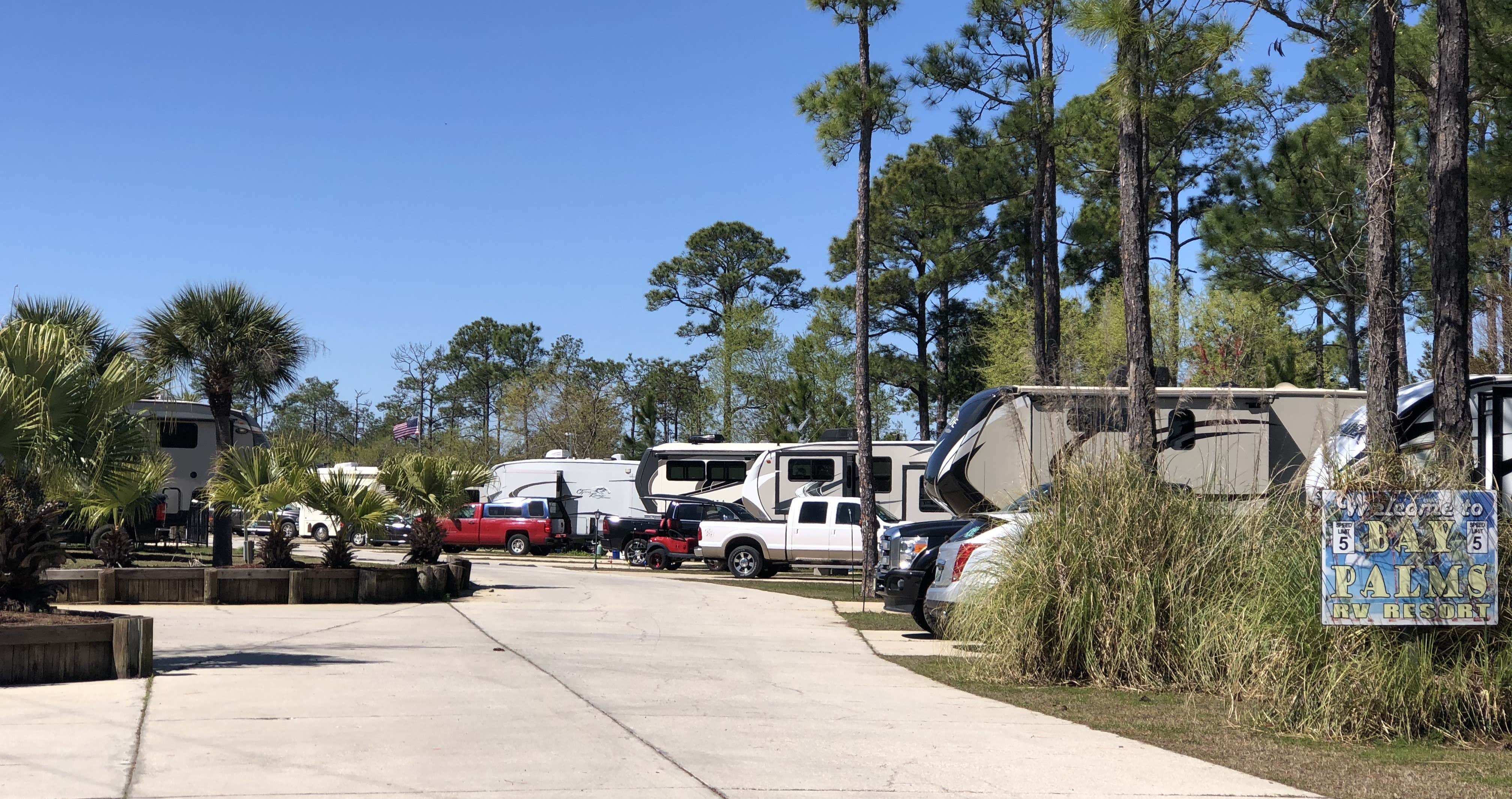 Lee D.'s photo of rv camping at Bay Palms RV Resort near Dauphin Island, AL