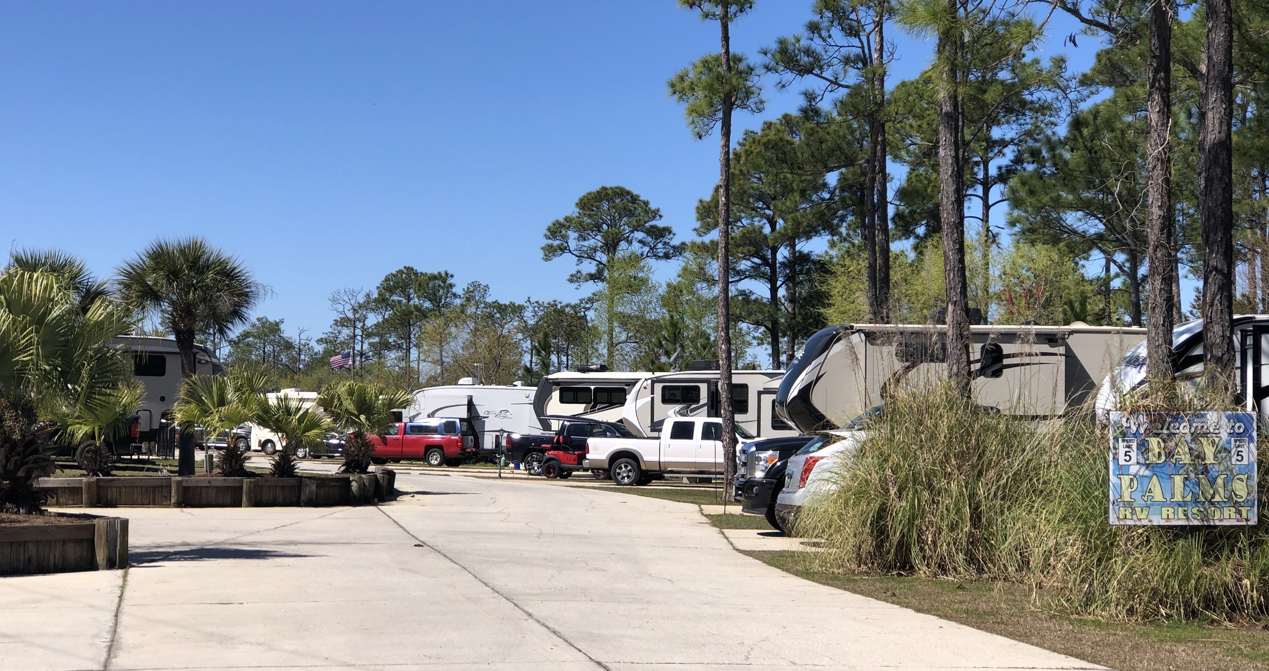 Camper submitted image from Bay Palms RV Resort - 4