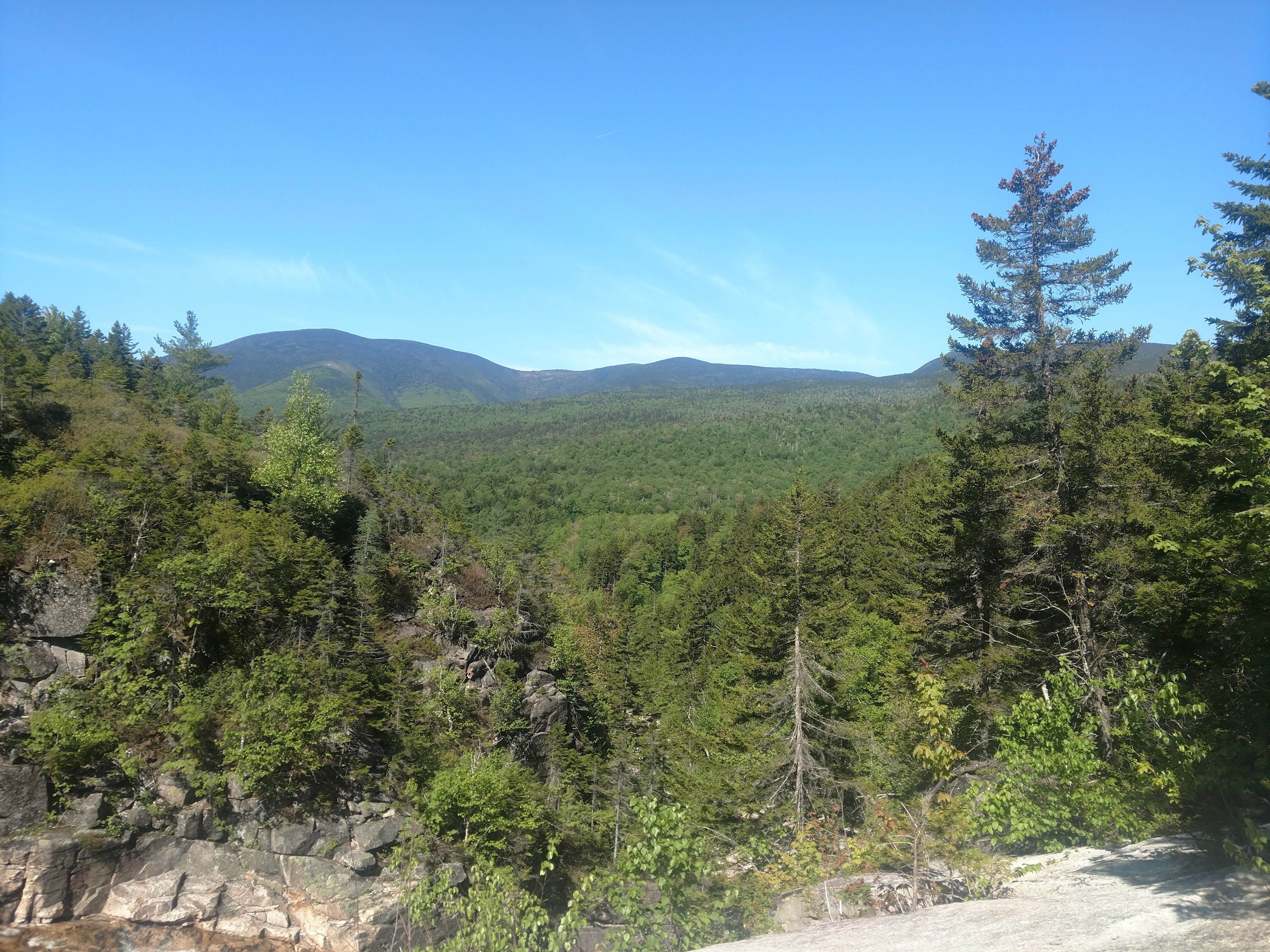 View All