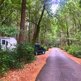 Review photo of Panther Flat Campground by Crystal C., March 7, 2020