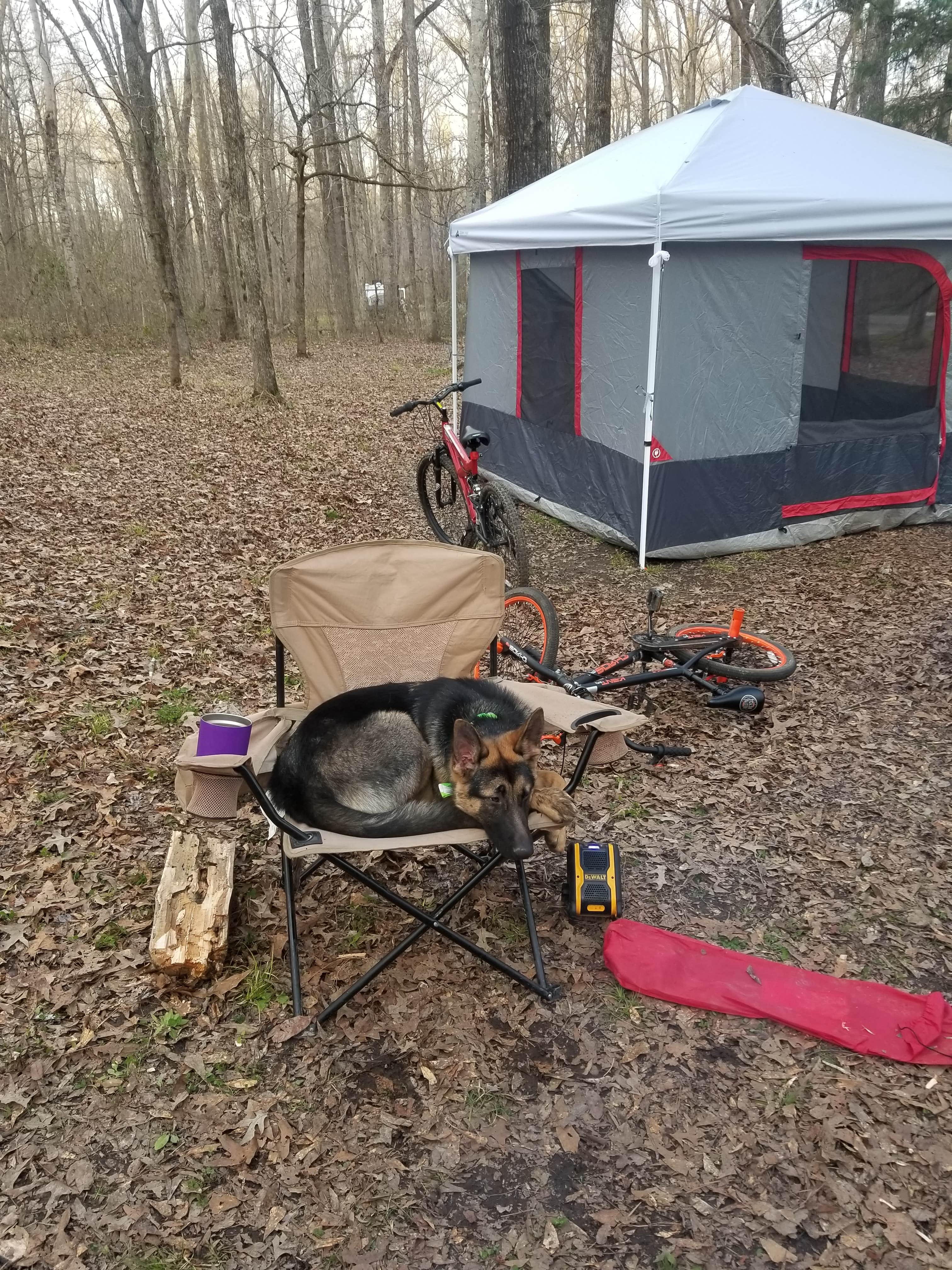 Camper submitted image from Rocky Springs Campground, Milepost 54.8 — Natchez Trace Parkway - 3