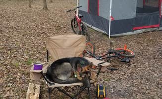 Ronnie N.'s photo at Rocky Springs Campground, Milepost 54.8 — Natchez Trace Parkway near Clinton, MS