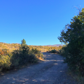 Review photo of Mill Creek Campground - Stanislaus NF by Crystal C., March 7, 2020