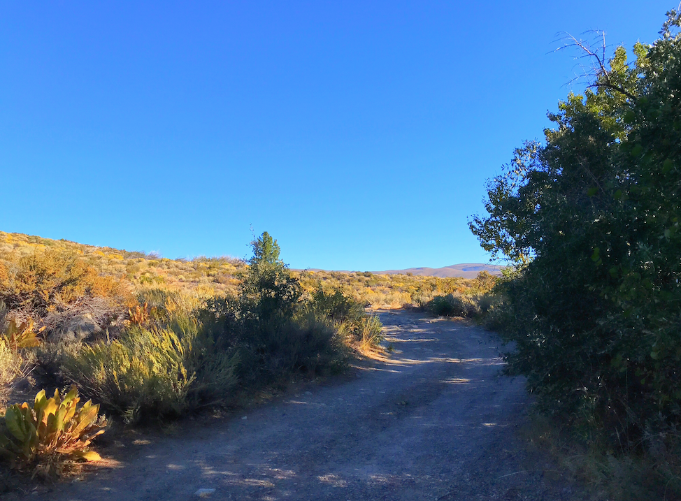 Camper submitted image from Mill Creek Campground - Stanislaus NF - 5