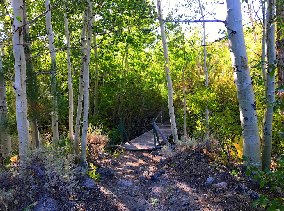 Camper submitted image from Mill Creek Campground - Stanislaus NF - 2