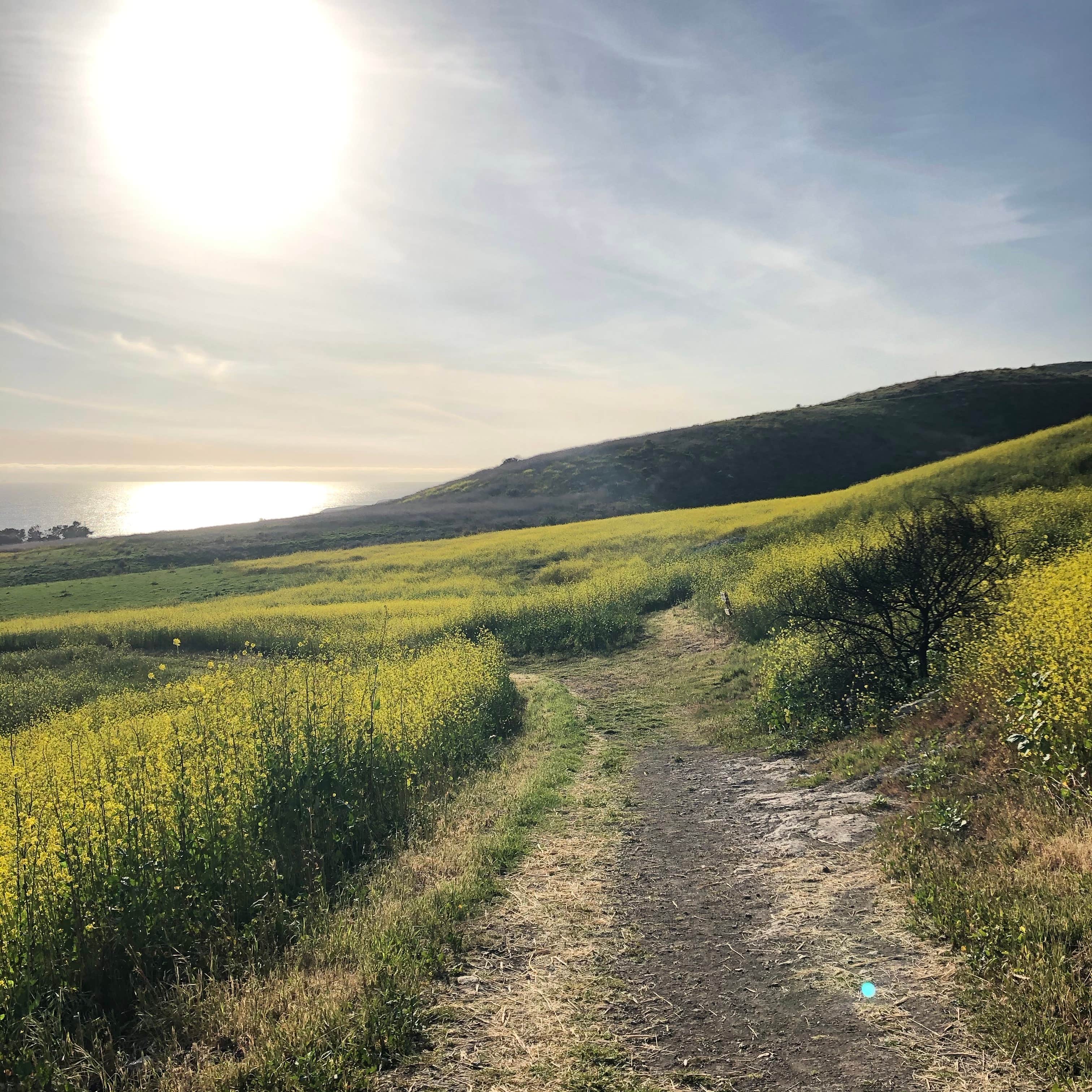 Camper-submitted photo at Sun Outdoors Santa Barbara near Lompoc, CA