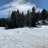 Review photo of Mueller State Park Campground by Chris H., March 7, 2020