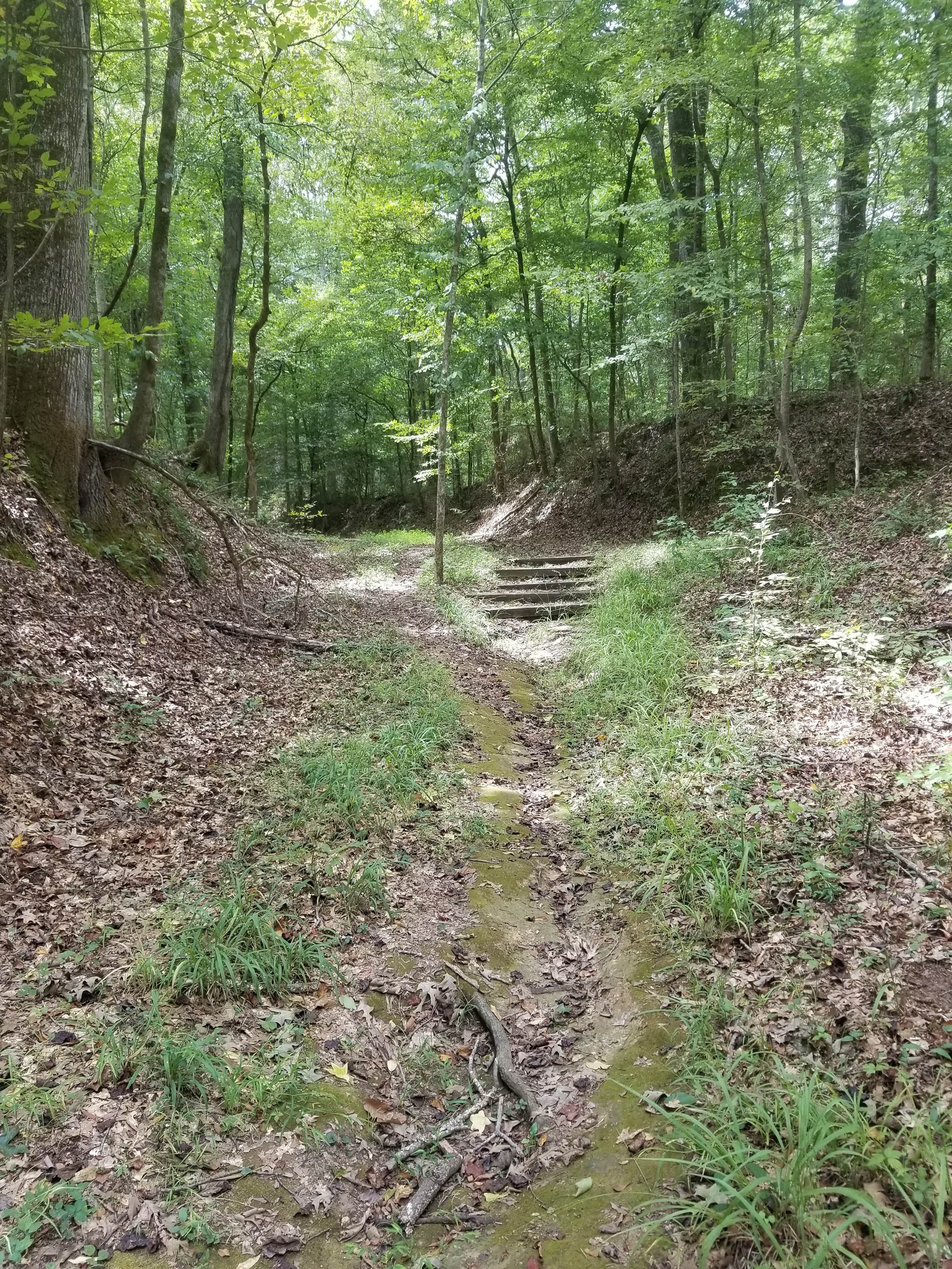 Camper submitted image from Rocky Springs Campground, Milepost 54.8 — Natchez Trace Parkway - 2