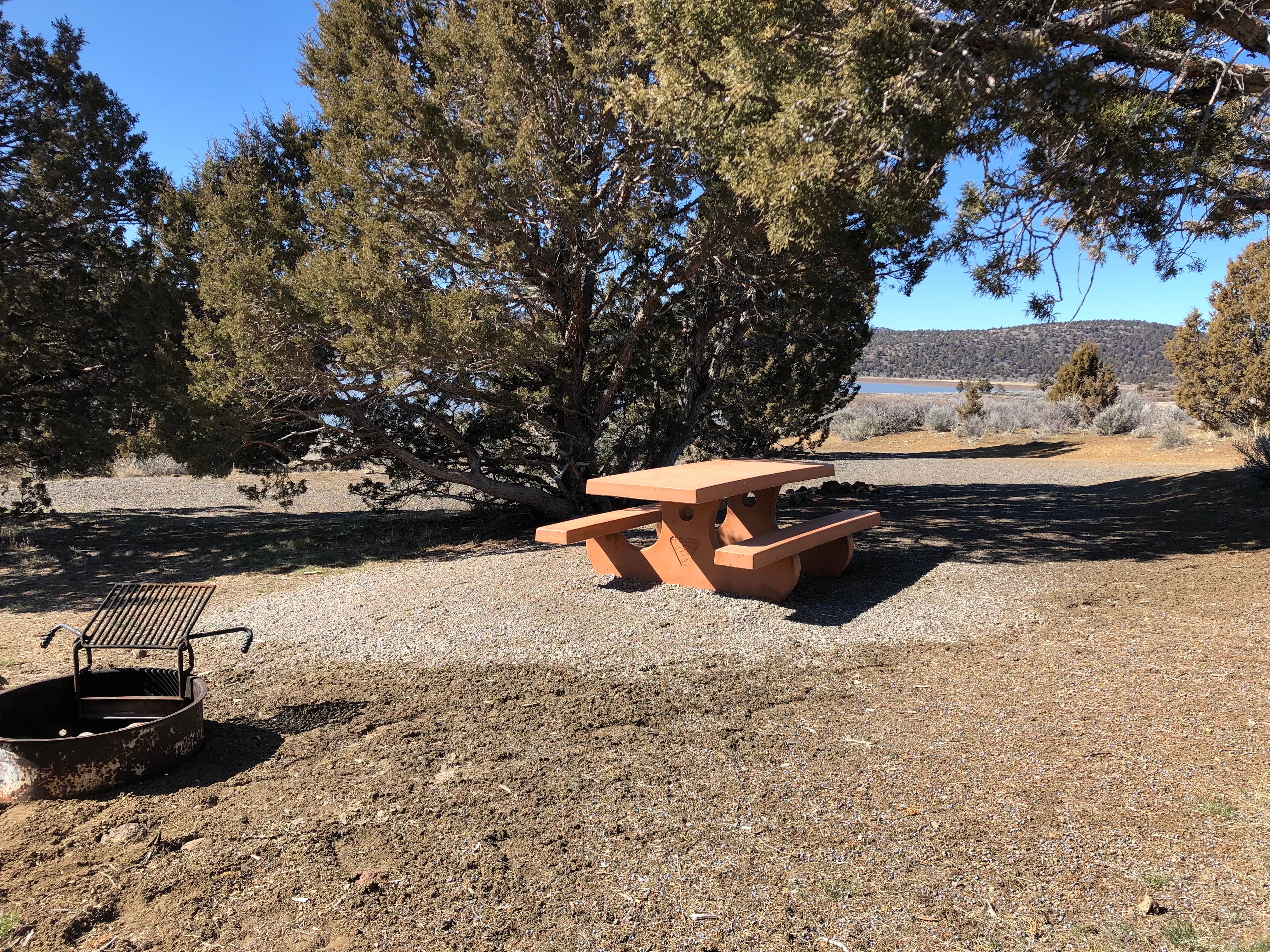 Camper-submitted photo at Dodge Reservoir Campground near Gerlach, NV