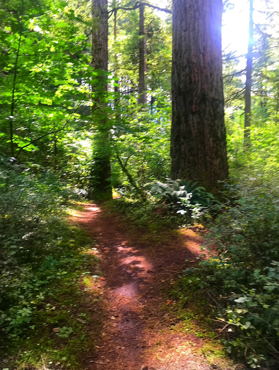 Camper-submitted photo at Woodard Creek Campground — Beacon Rock State Park Campground near Gresham, OR