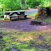 Review photo of Beacon Rock State Park Campground by Crystal C., March 8, 2020