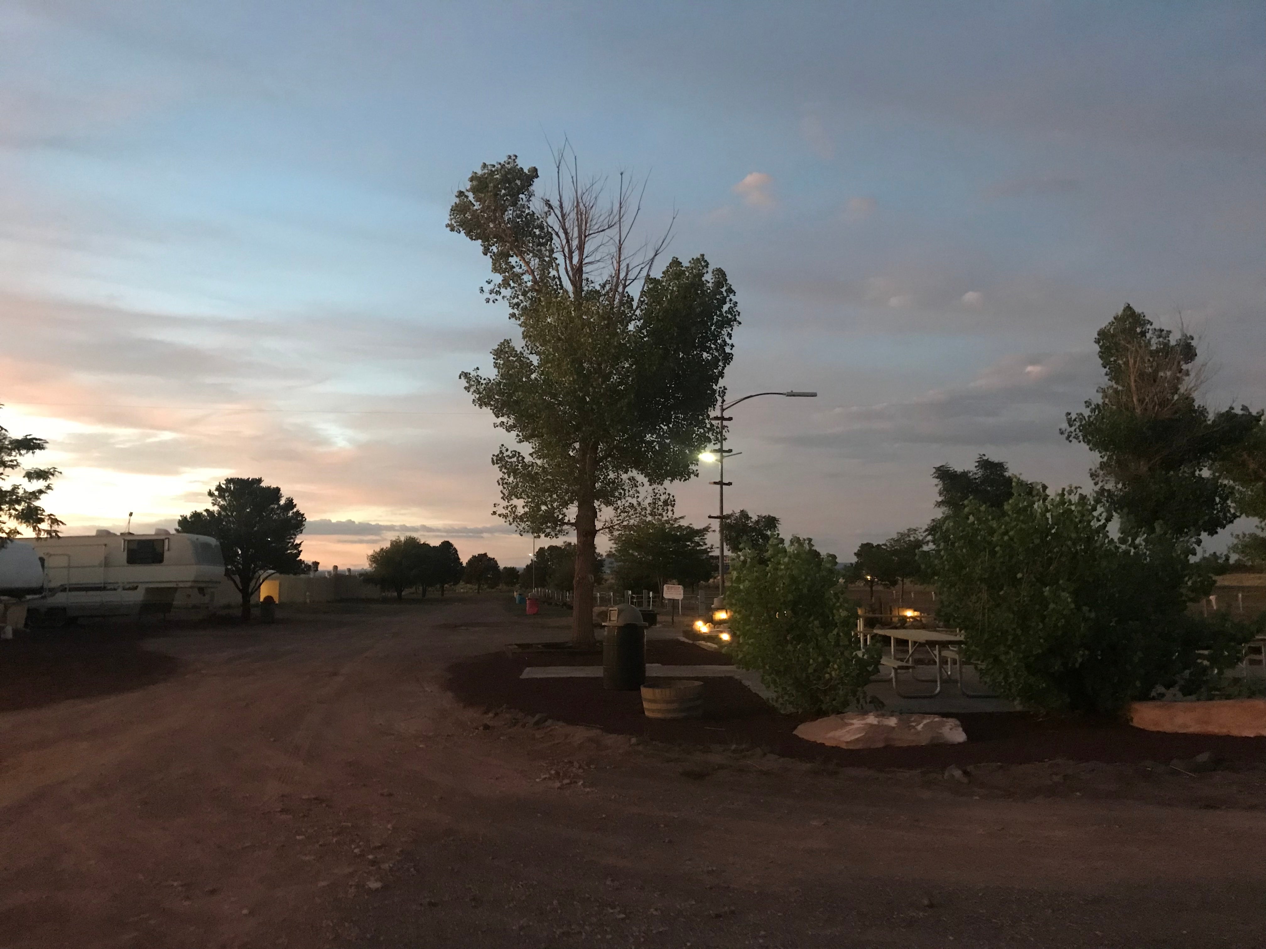 Camper submitted image from Raptor Ranch RV Park & Campground  - 5