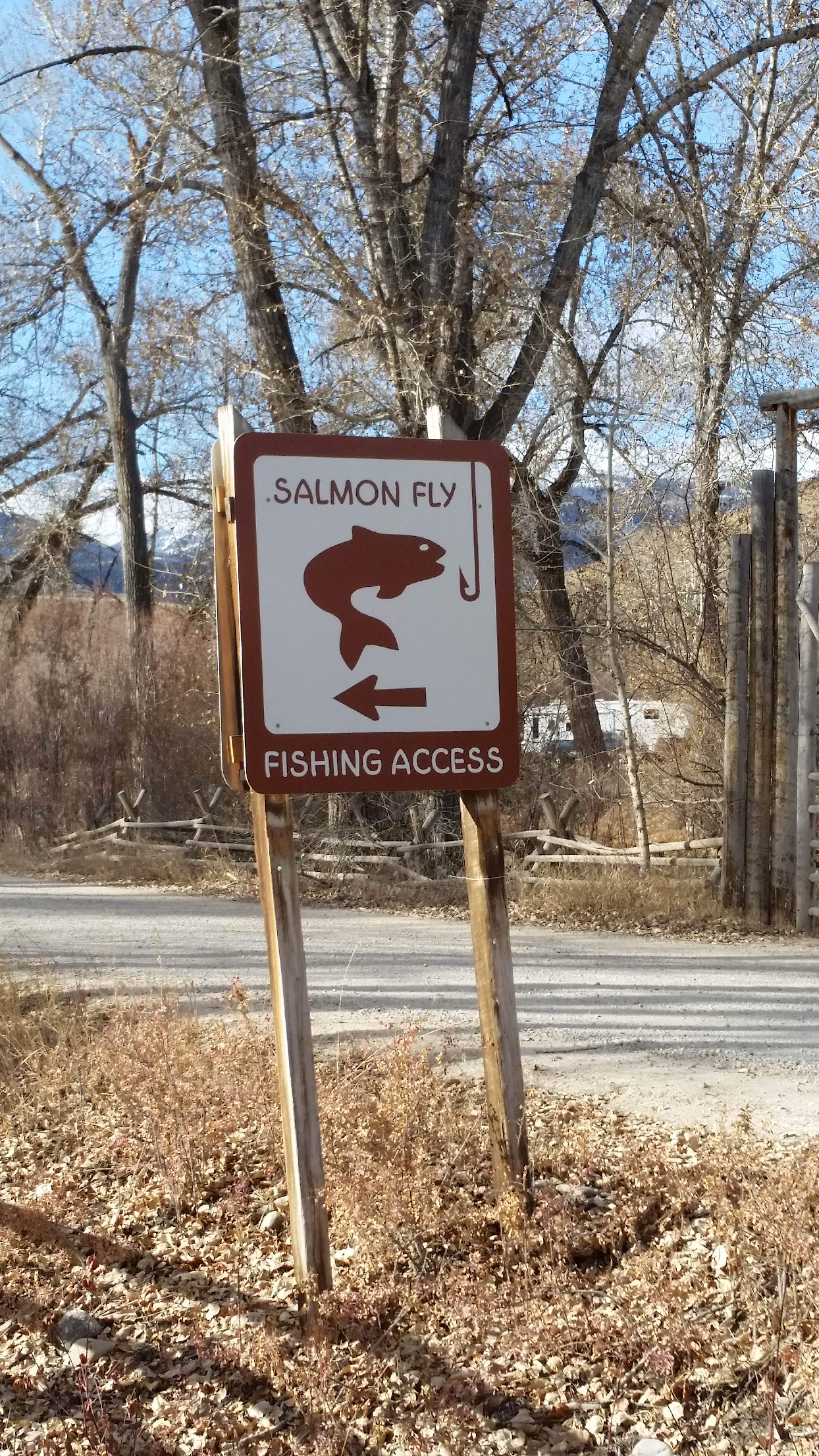 Camper-submitted photo at Salmon Fly near Beaverhead-Deerlodge National Forest