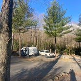 Review photo of Mama Gertie's Hideaway Campground by Garrett B., March 8, 2020