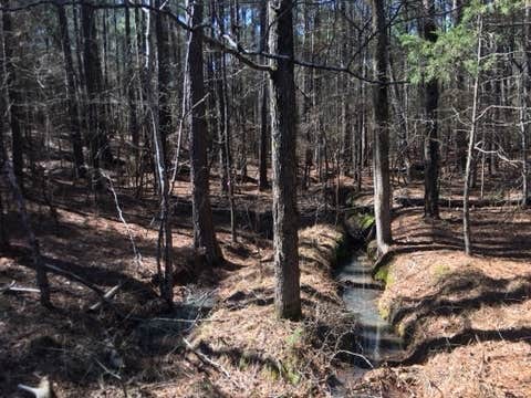 Camping near Hawe Creek - J Strom Thurmond Lake: Baker Creek, McCormick, South Carolina