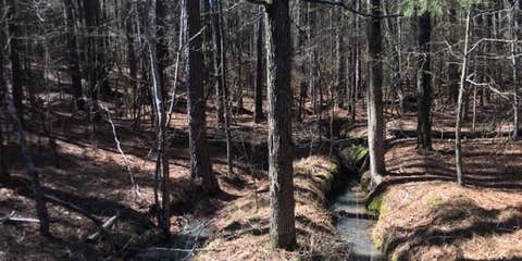 Baker Creek photo 3