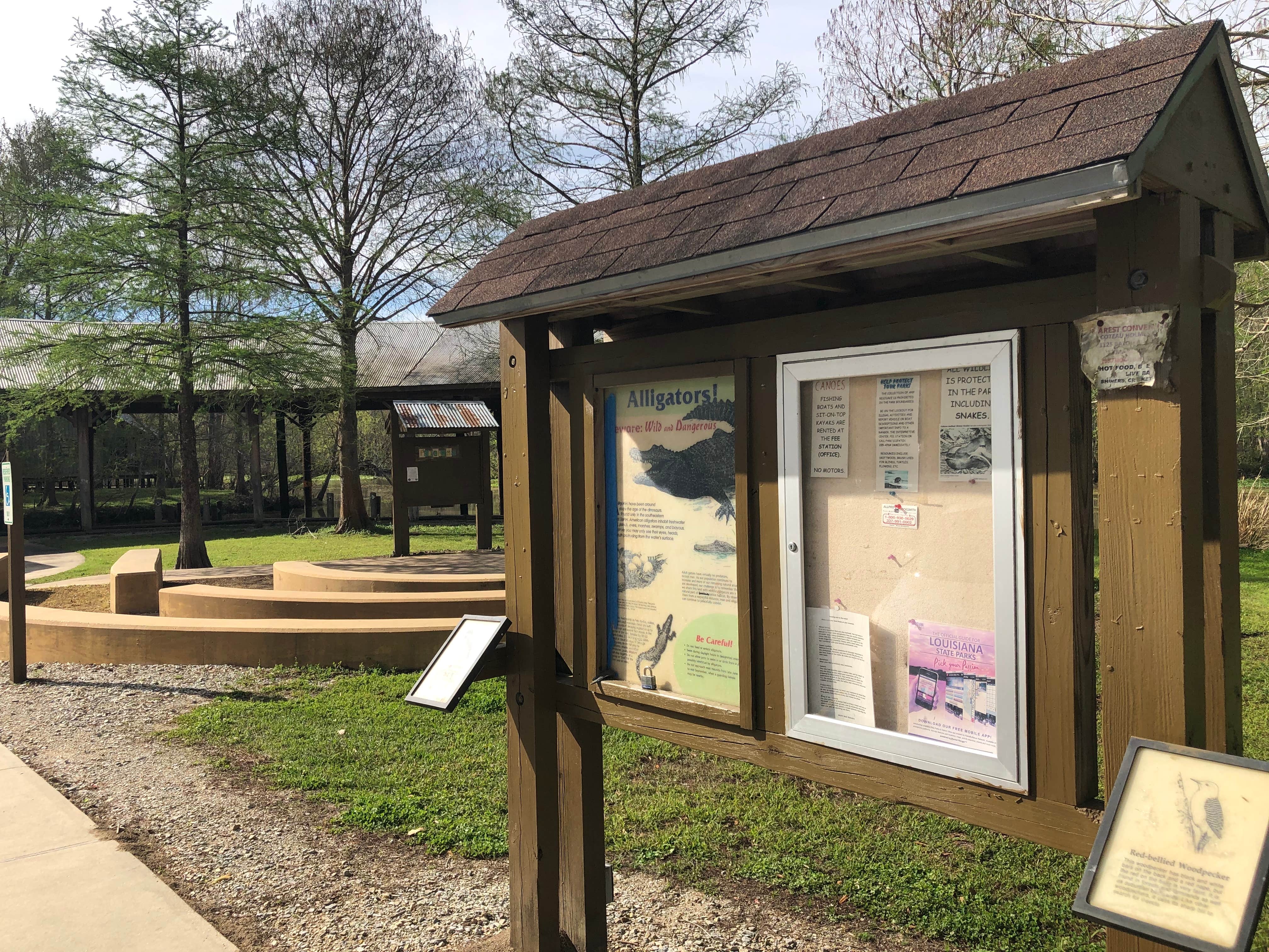 Camper submitted image from Lake Fausse Pointe State Park Campground - 3