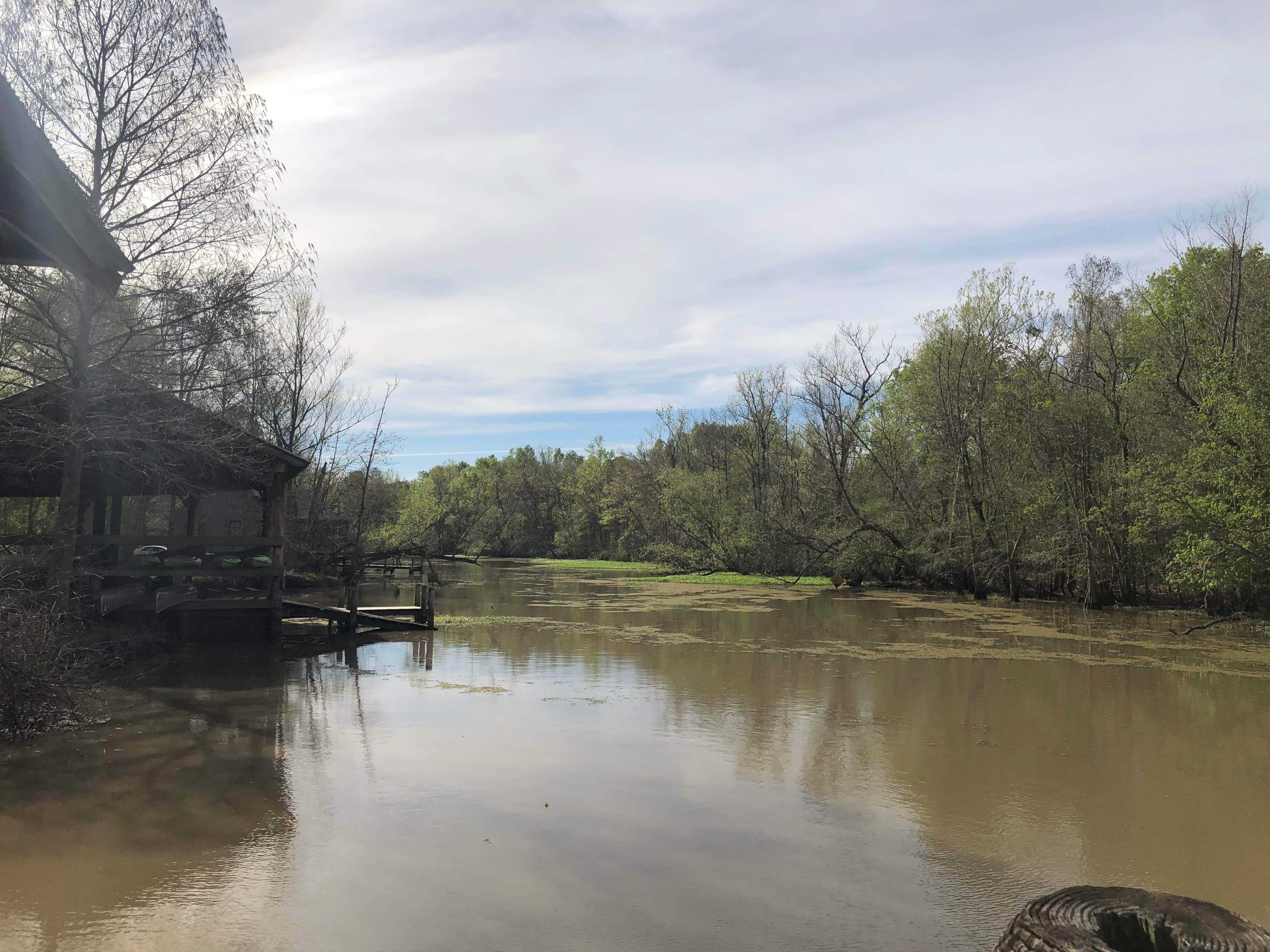 Camper-submitted photo at Lake Fausse Pointe State Park Campground near Baton Rouge, LA