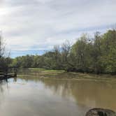 Review photo of Lake Fausse Pointe State Park Campground by Tara L., March 9, 2020