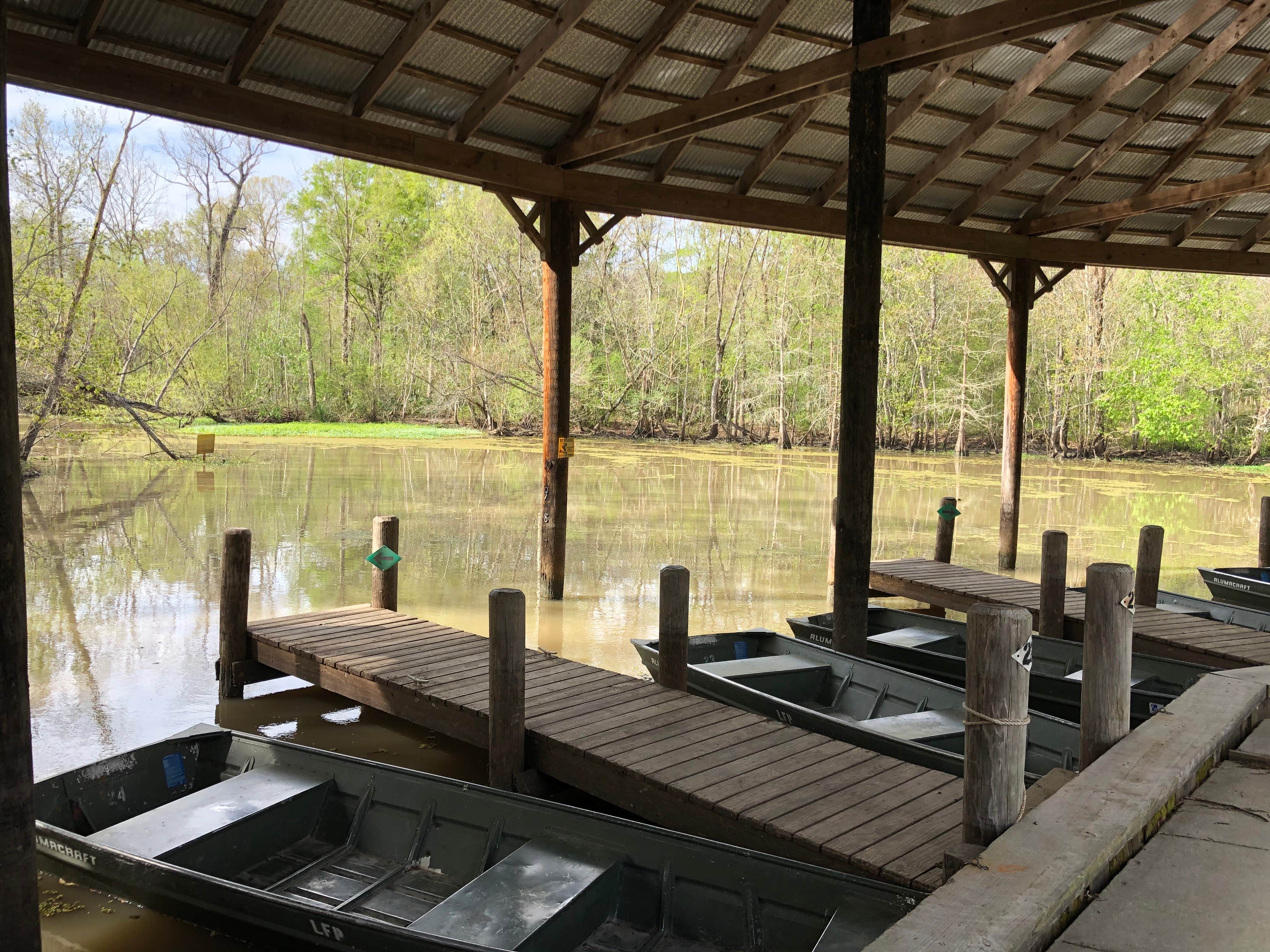 Camper-submitted photo at Lake Fausse Pointe State Park Campground near Baton Rouge, LA