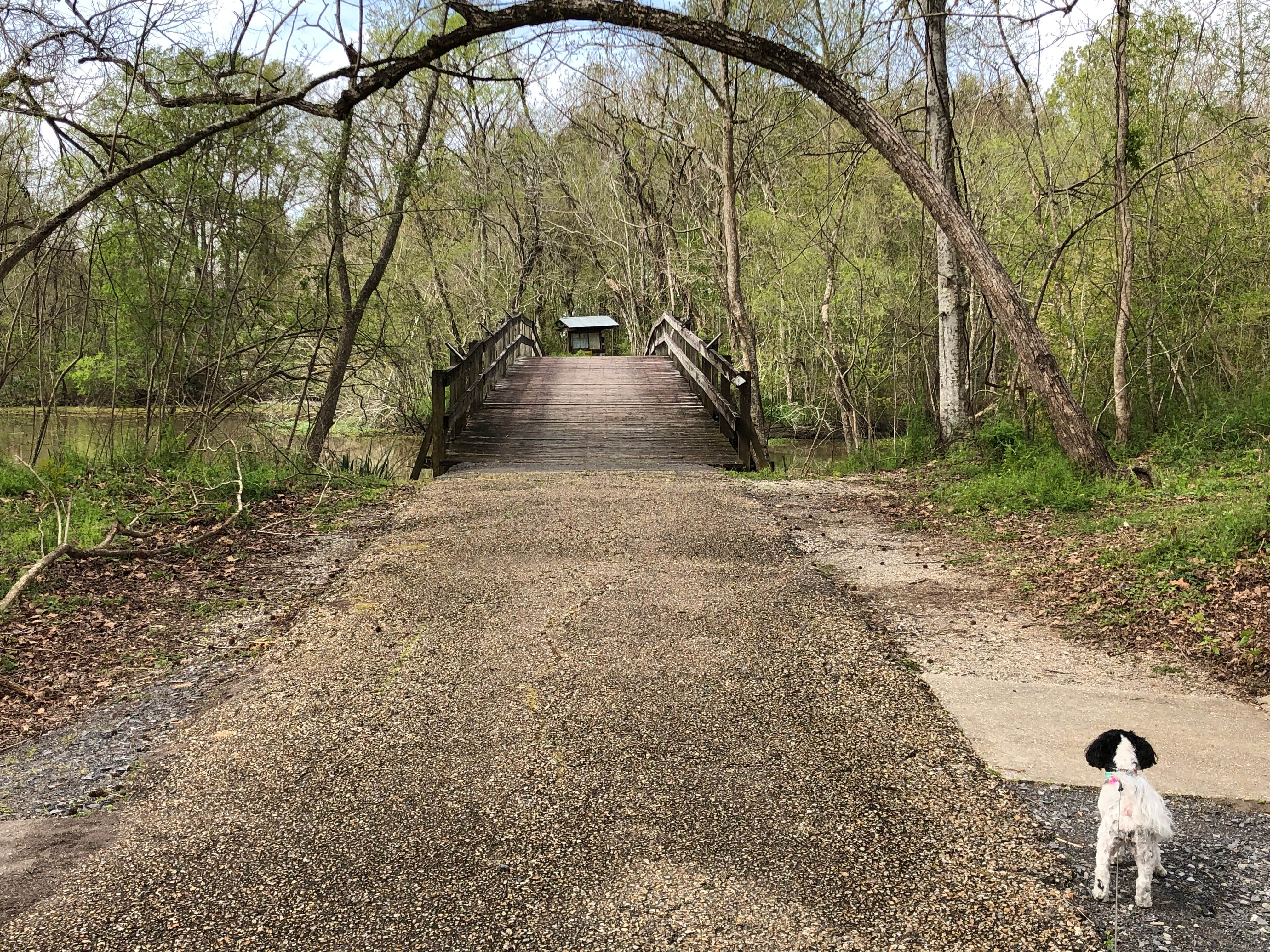 Lake Fausse Pointe State Park Campground