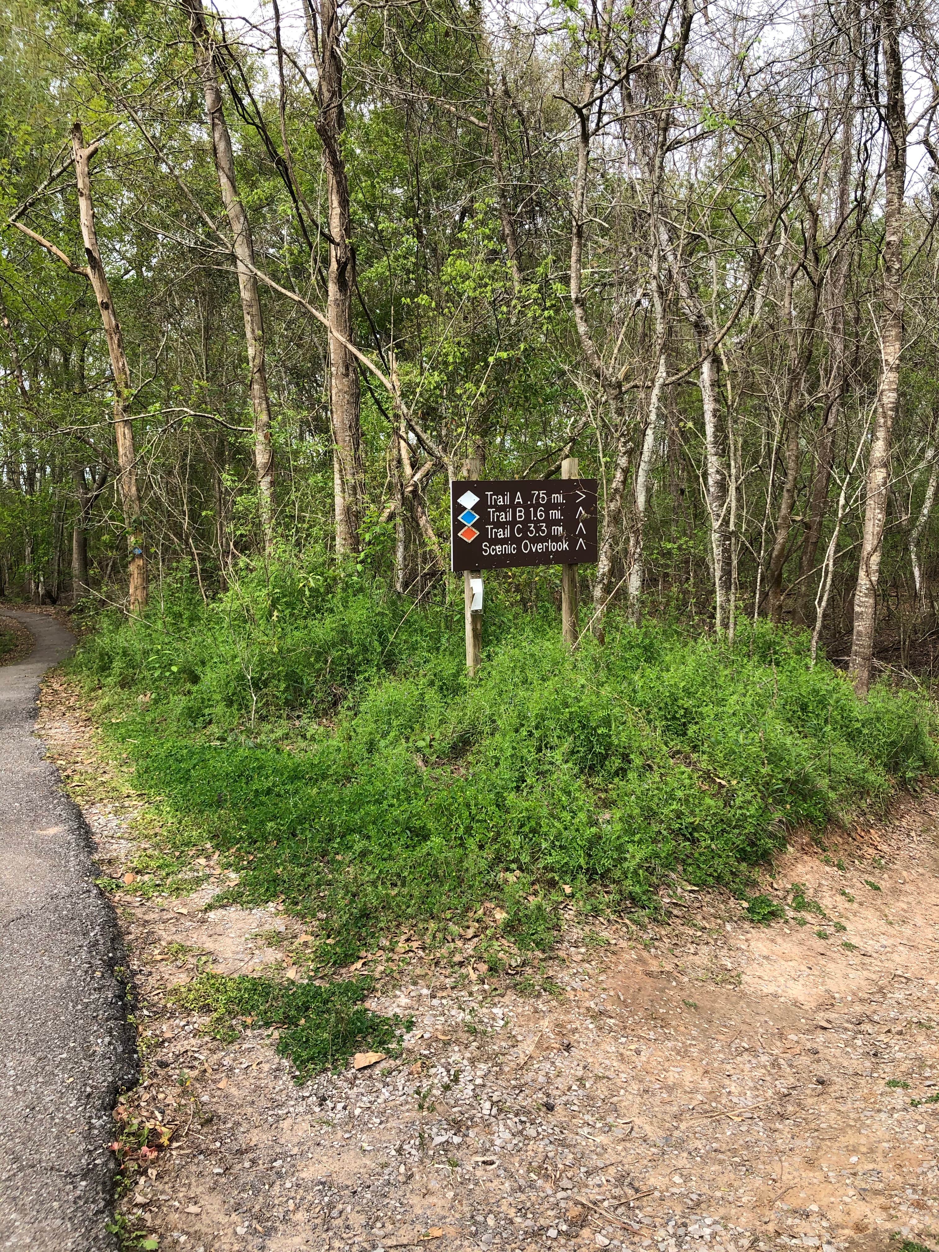 Camper submitted image from Lake Fausse Pointe State Park Campground - 4