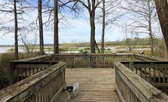 Camping near Chases RV Park: Lake Fausse Pointe State Park Campground, New Iberia, Louisiana