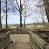 Review photo of Lake Fausse Pointe State Park Campground by Tara L., March 9, 2020