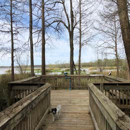 Lake Fausse Pointe State Park Campground