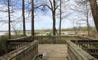 Tara L.'s photo of camping with pets at Lake Fausse Pointe State Park Campground near Franklin, LA