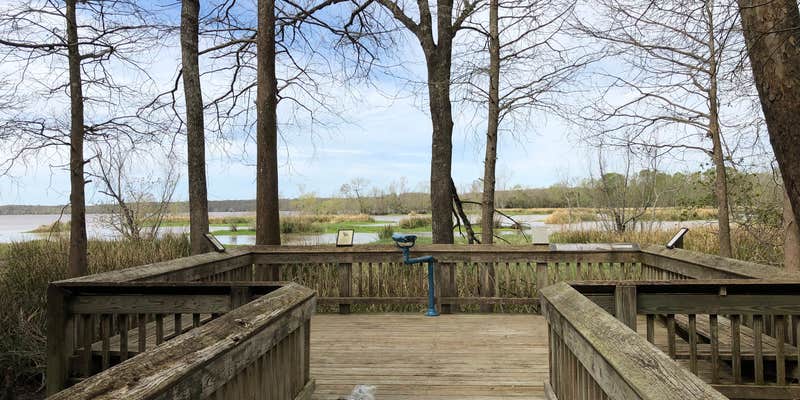 Camper submitted image from Lake Fausse Pointe State Park Campground