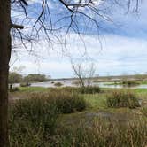 Review photo of Lake Fausse Pointe State Park Campground by Tara L., March 9, 2020