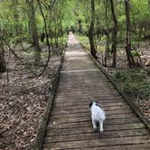 Review photo of Lake Fausse Pointe State Park Campground by Tara L., March 9, 2020