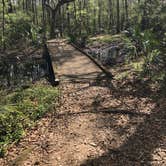 Review photo of Lake Fausse Pointe State Park Campground by Tara L., March 9, 2020