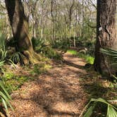 Review photo of Lake Fausse Pointe State Park Campground by Tara L., March 9, 2020