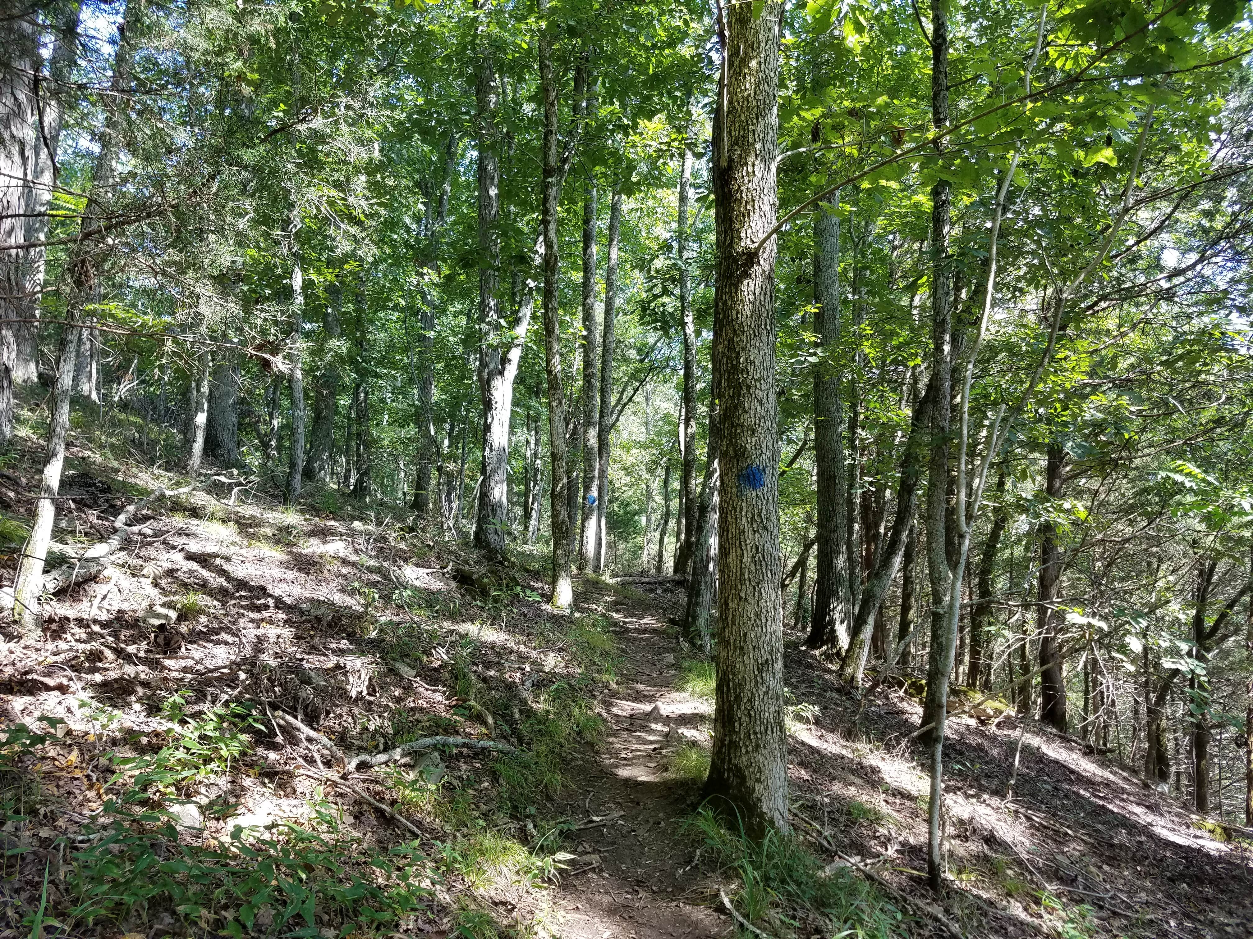 Camper submitted image from Defeated Creek Campground - 2