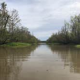 Review photo of Lake Fausse Pointe State Park Campground by Tara L., March 9, 2020