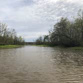 Review photo of Lake Fausse Pointe State Park Campground by Tara L., March 9, 2020