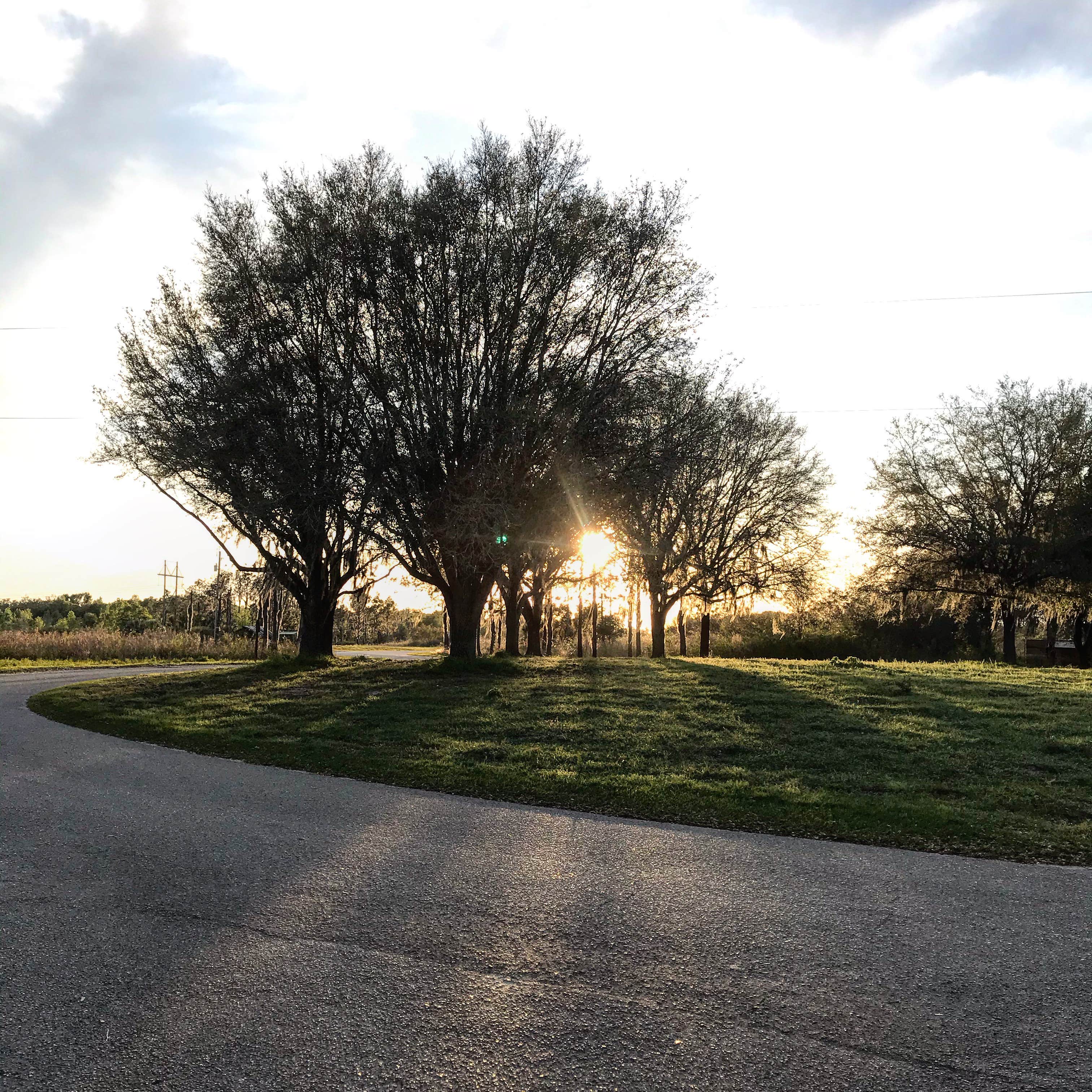 Alafia River State Park Campground | Lithia, Florida