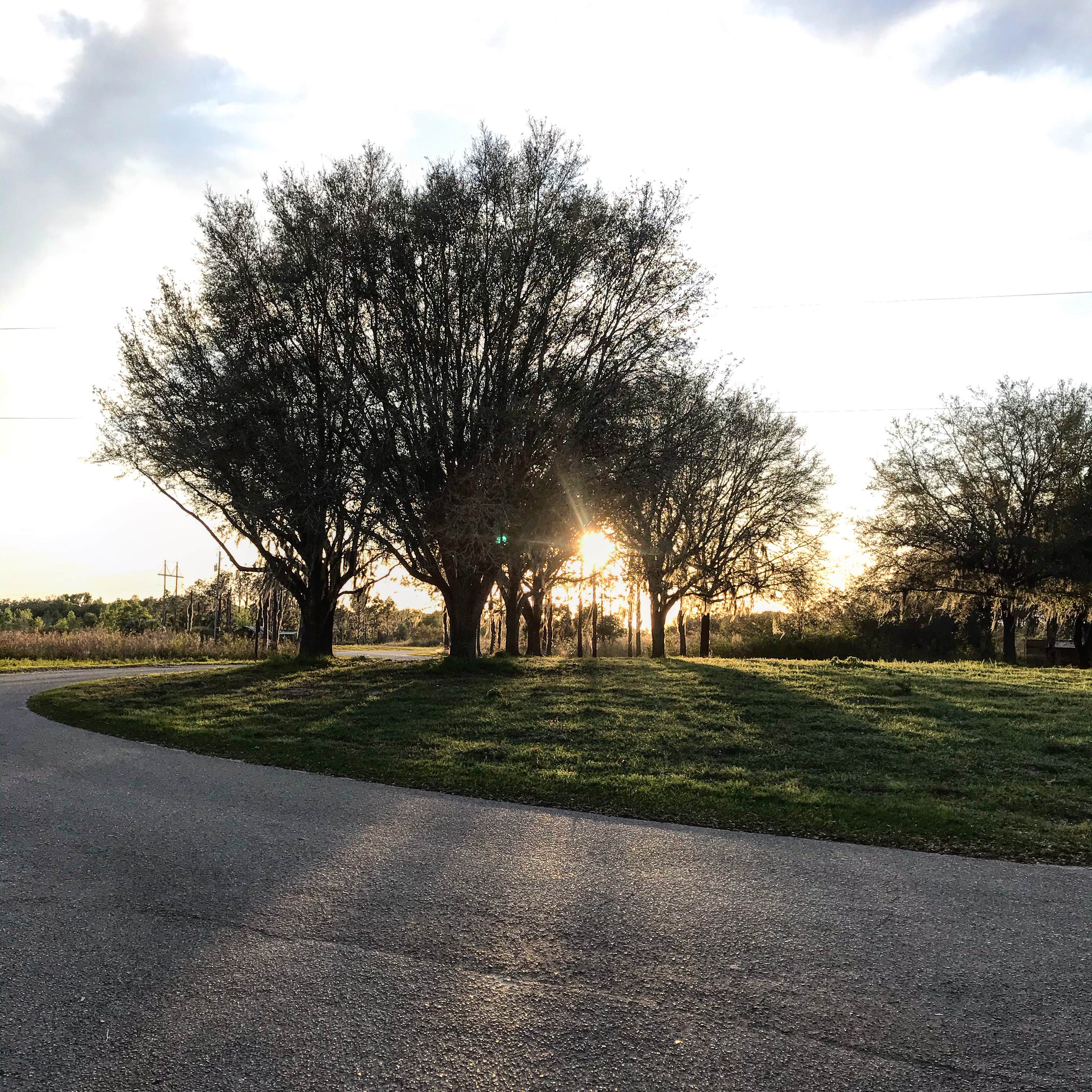 Camper submitted image from Alafia River State Park Campground - 4