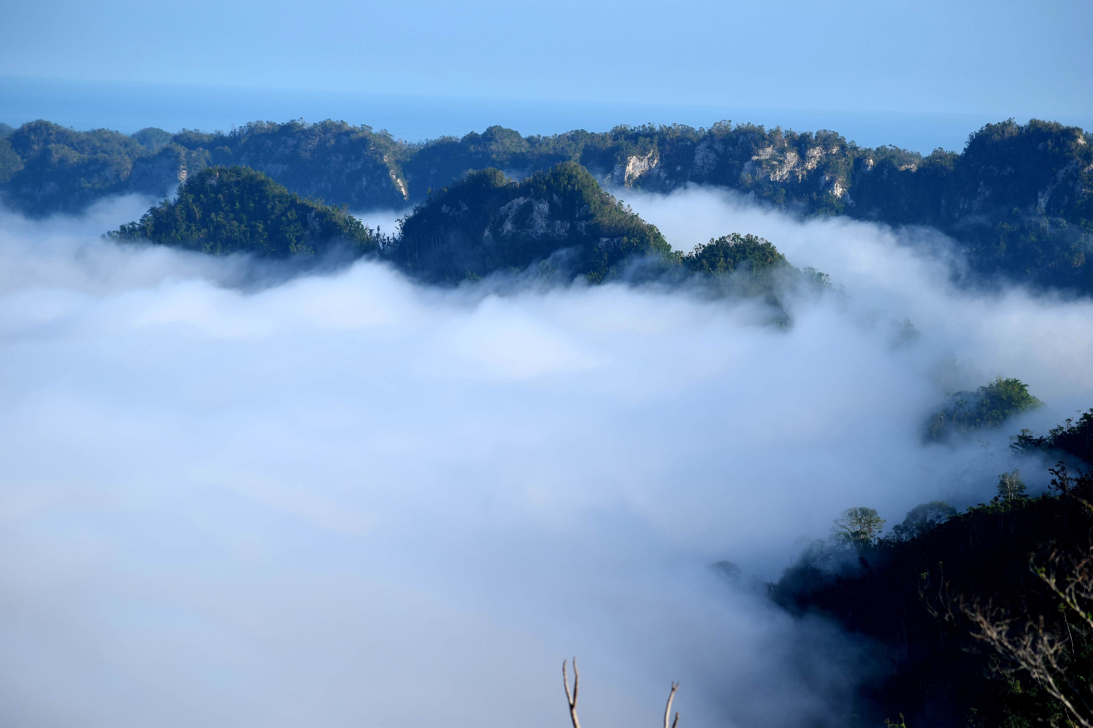 Camper-submitted photo at Lakeview Rainforest Camping in Puerto Rico