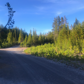 Review photo of Mount Thielsen Wilderness by Crystal C., March 9, 2020