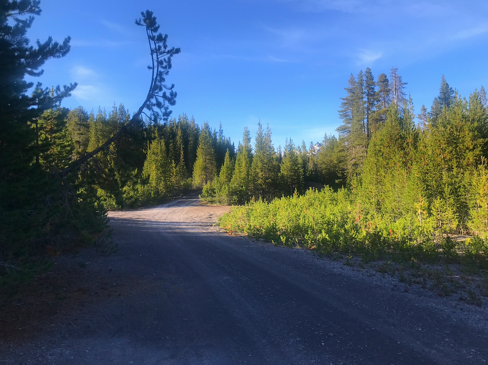 Camper submitted image from Mount Thielsen Wilderness - 3