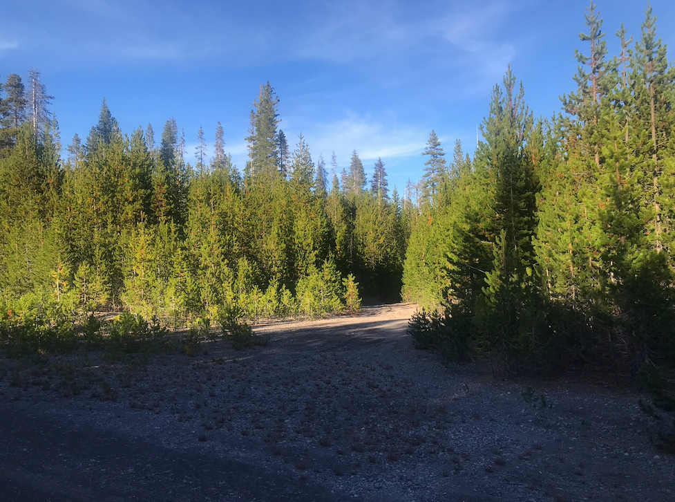 Camper-submitted photo at Mount Thielsen Wilderness near Tiller, OR